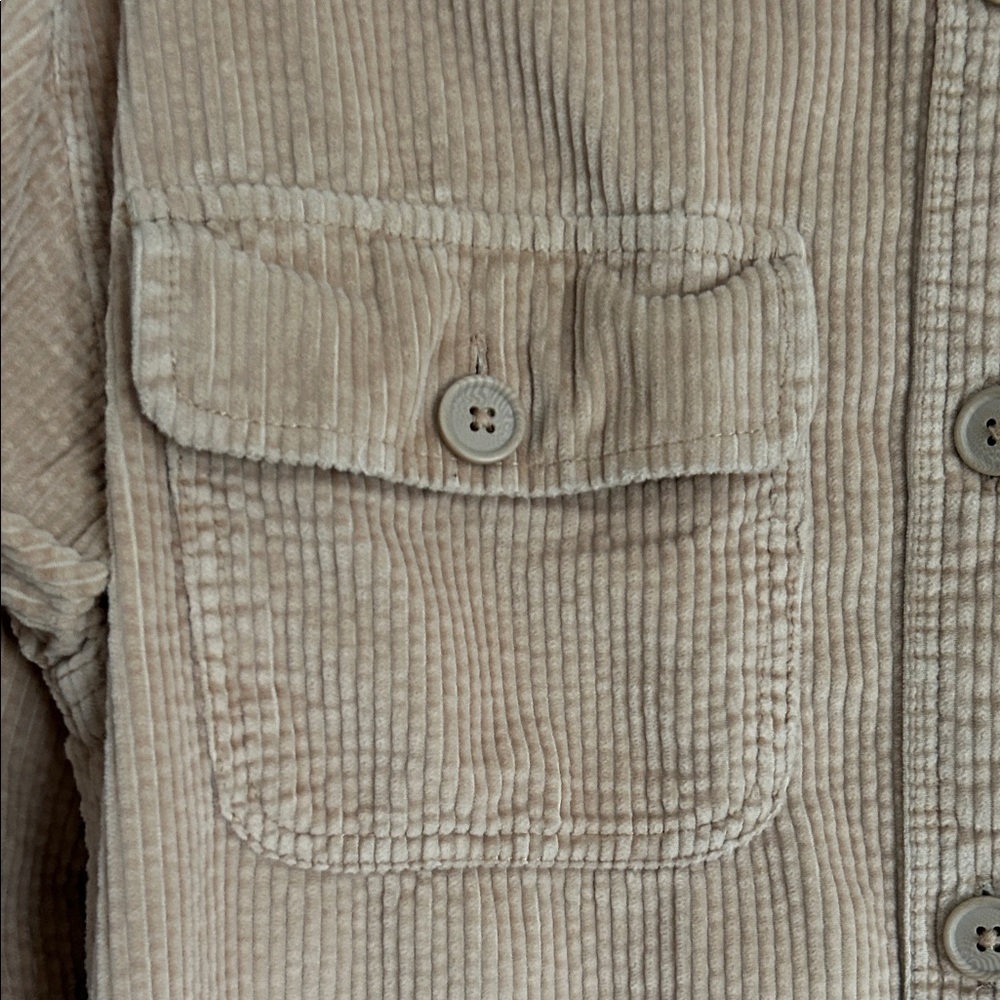 American Eagle Corduroy Shirt in Camel Tan - Picture 3 of 8